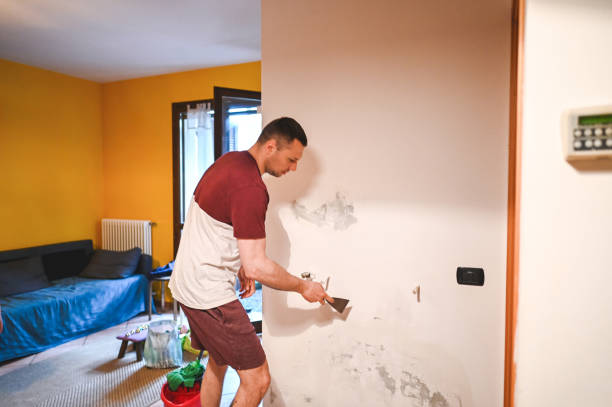 Best DIY Mold Remediation Support Services in Lafayette, CA